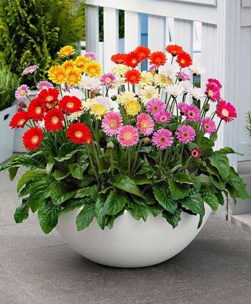 Purple dahlia and peach carnation artificial flower hat box arrangement for corporate event table decor rental in Riyadh