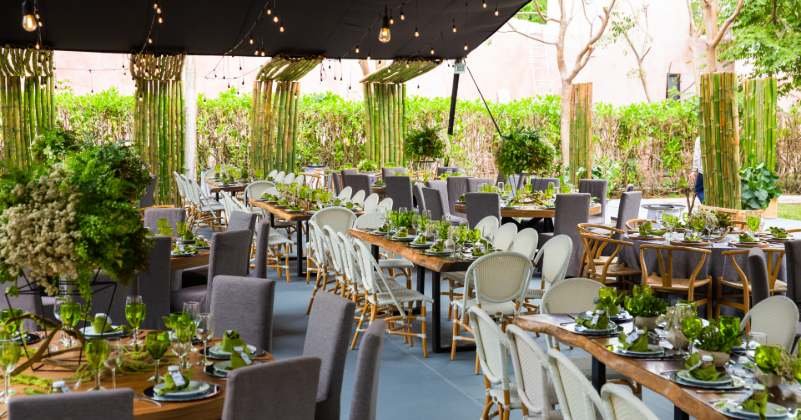 Outdoor party event with multiple guests seated on folding and Chiavari chairs